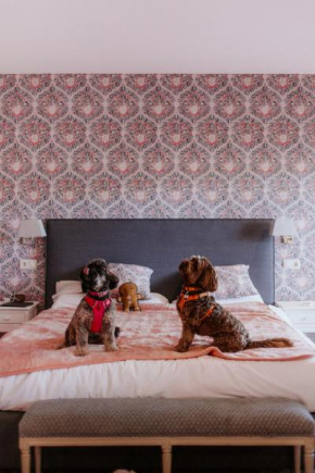 Отель Hotel Boutique Pinar  Куэнка